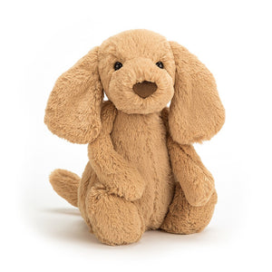 Jellycat Bashful Toffee Puppy - Small